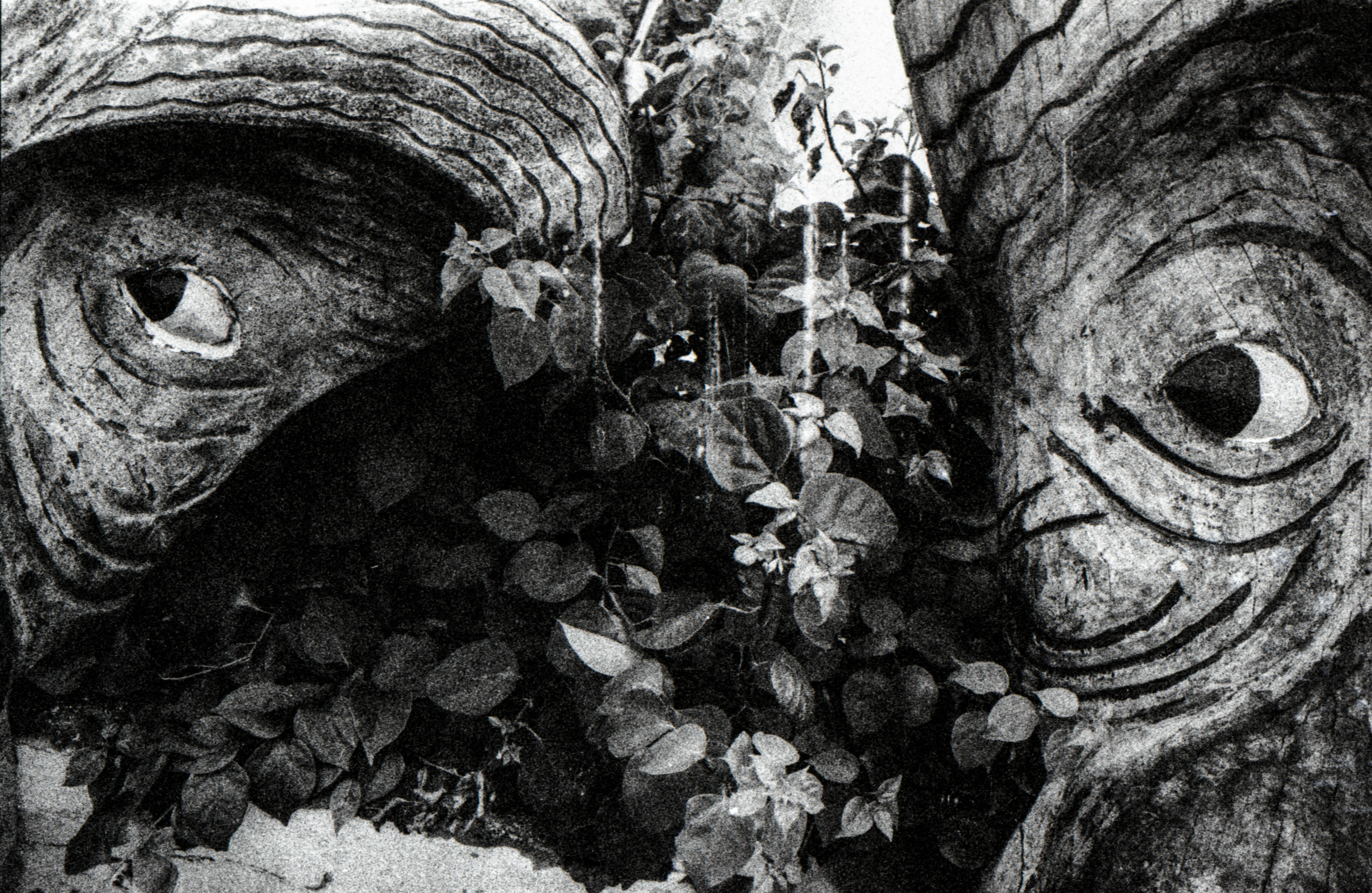 Rainy Season — Senegal in black and white; photographic negatives marked by water